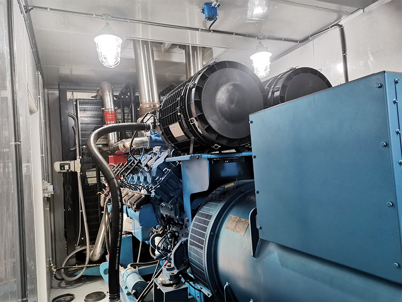 濰柴沼氣發(fā)電項目